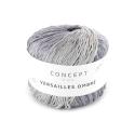 Versailles Ombré Grau (Silber)