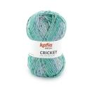 Cricket Fb. 105 Blau-Türkis